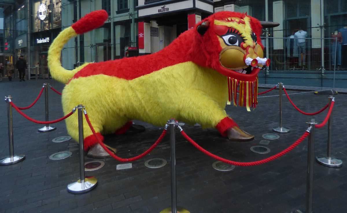 Chinese New Year of the Rat - Bullring Bull (January 2020)
